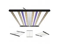 Artificial light for cannabis     Medical marjuana grow facilities   