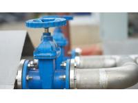 What Is a Swing Check Valve?