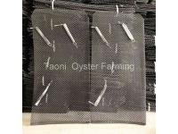 What is the Main Value of Oysters?