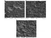 MMO Coating on Titanium