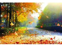  Strengthen skin protection of fish scales in autumn