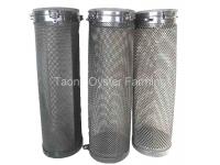 Everything You Need to Know About Oysters