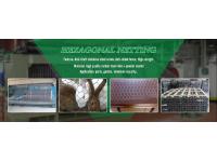 Anping Deping Wire Mesh Manufacture Co., Ltd