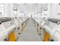 Wheat processing flour plant