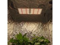 Cannabis facility Quantum Light     led cannabis light manufacturer  quantum board manufacturer