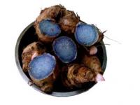 What Is Black Ginger Extract Good for?