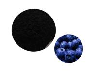 About the Difference between Bilberry and Blueberry