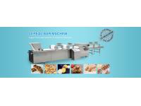 What are the Key Points for Selecting Pet Snack Production Equipment?