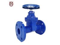 What is the Process Design of the Check Valve?