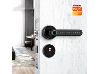 Fingerprint Smart Handle Door Lock YS-021