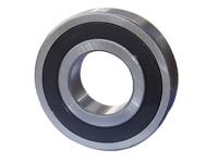 Electric Motor Bearing