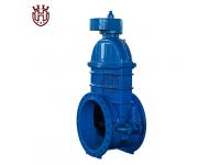 BS5163 Spur gear Resilient Seated Gate Valve with bypass