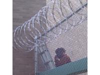 Concertina Wire   concertina wire border    military concertina wire     concertina wire for sale    