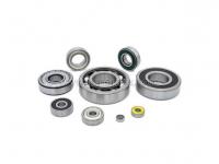 What Causes The Bearing to Be Easily Damaged?