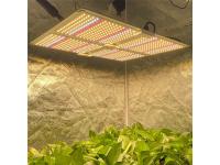 Waterproof LED Grow Light for Indoor Plant  vertical farming led lighting    plant grow light bar    