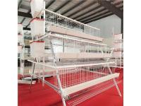 A Type Chicken Layer Cage