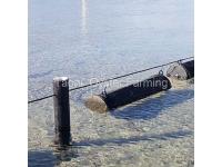 The Benefits of Oysters for Health