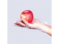 Food Contact Disposable Cpe Plastic Gloves