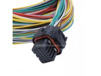 wire harness assembly with amp connector  