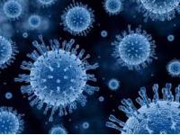 The role of cyclodextrin in antiviral drugs and vaccines