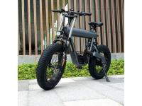 H-19 Cross-Coutry Electric Bike     Electric Off-Road Bike Wholesale      