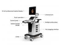 What is the Role of Color Ultrasound?