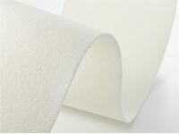 Something you need to know about PMC