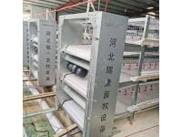 What kind of chicken house equipment do chicken farms need?