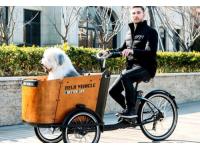 5 Reasons to Buy a Cargo E-bike