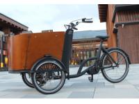 Take your dog for a bike ride, why not?