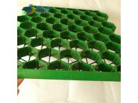 Grass Grid Paver for Driveway and Parking Lot