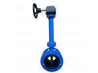 Extension Spindle Flange Butterfly Valve