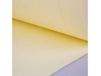 Light-duty Air Filter Paper    Automotive Filter Paper    