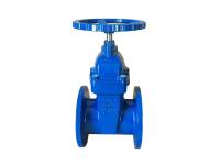 F4 3352 Ductile Iron Gate Valve