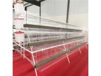 Introduction to the types of laying hen cages