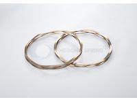 5 Facts About Wave Springs