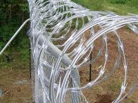 On What To Look For In Galvanized Razor Wire