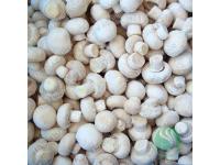 Everything you need to konw about frozen mushrooms