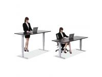 Dual Motor Standing Desk     Electric Standing Desk Dual Motor        