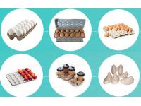 Why You Need To Choose A Beston Egg Carton Machine