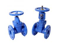 Brief description of the difference between gate valve and globe valve