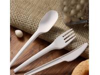 Biodegradable Cutlery of Bagasse and PLA