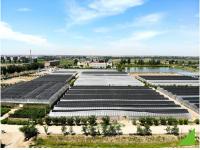 Vegetable Seeds, Grain Seeds, Fruit Seeds - China Seeds Manufacturers and Suppliers