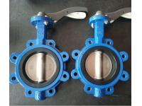 WHEN CAN BUTTERFLY VALVES BE USED AS CONTROL VALVES?