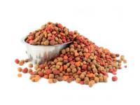 How Is Pet Food Processed?