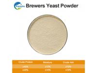Brewers Yeast --High efficient micro-protein for animal