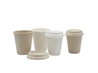 Bagasse Coffee Cups