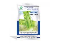 Boutique Ventura Celery Seeds      Celery Seeds Suppliers      