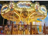 The Best Way To Hunt Down And Acquire Typically The Most Popular Carousel Rides In China