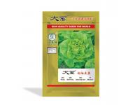 loose leaves cream lettuce     